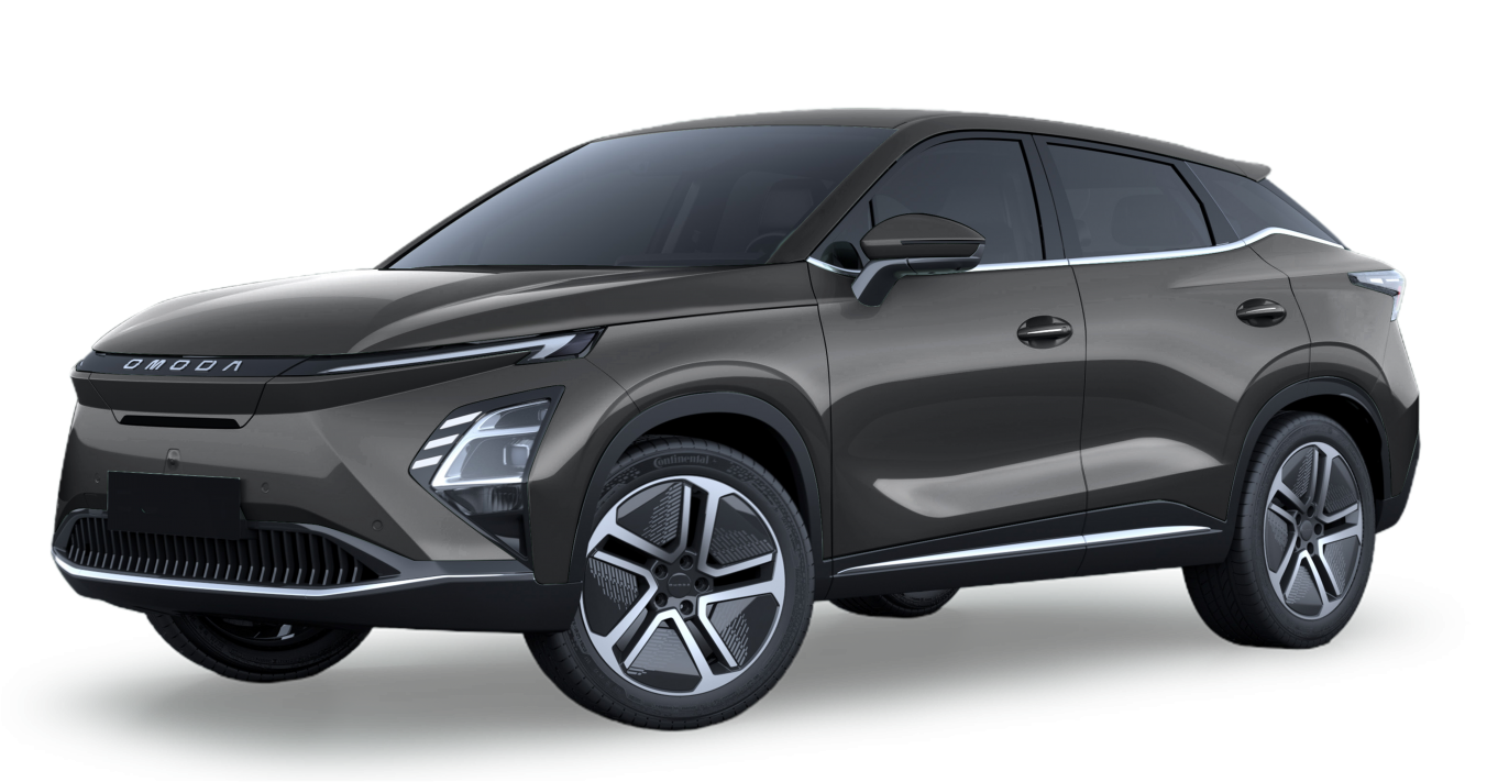 Gris Platinium